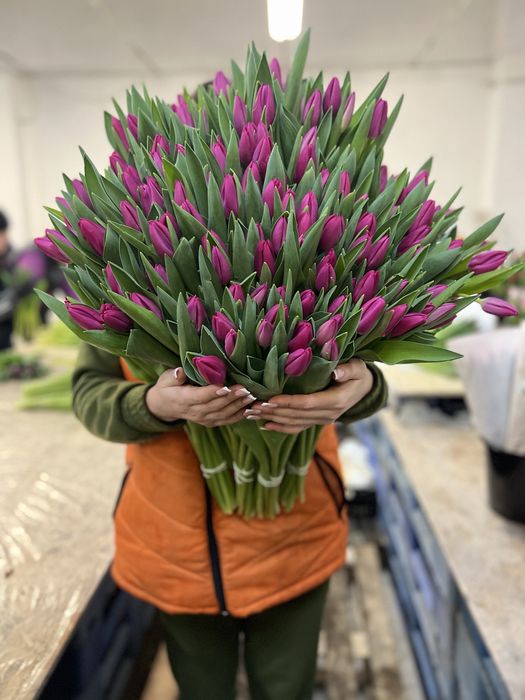 Тюльпани оптом Дніпро. Преміум від виробника. Місцевий (+імпорт)