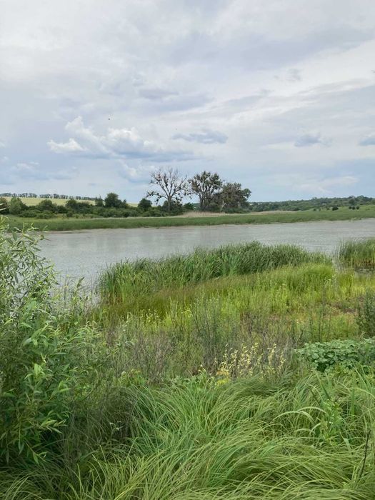Земельна ділянка водного фонду,  площею 25,3160 га, Харківська обл.