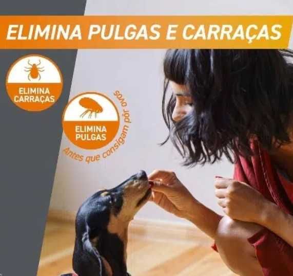 Frontpro para pulgas e carraças