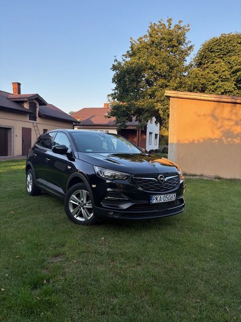 Opel Grandland X Pierwszy właściciel , super stan