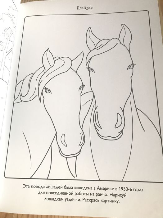 Книга Лошади Коні колекція малюнків і фотографій