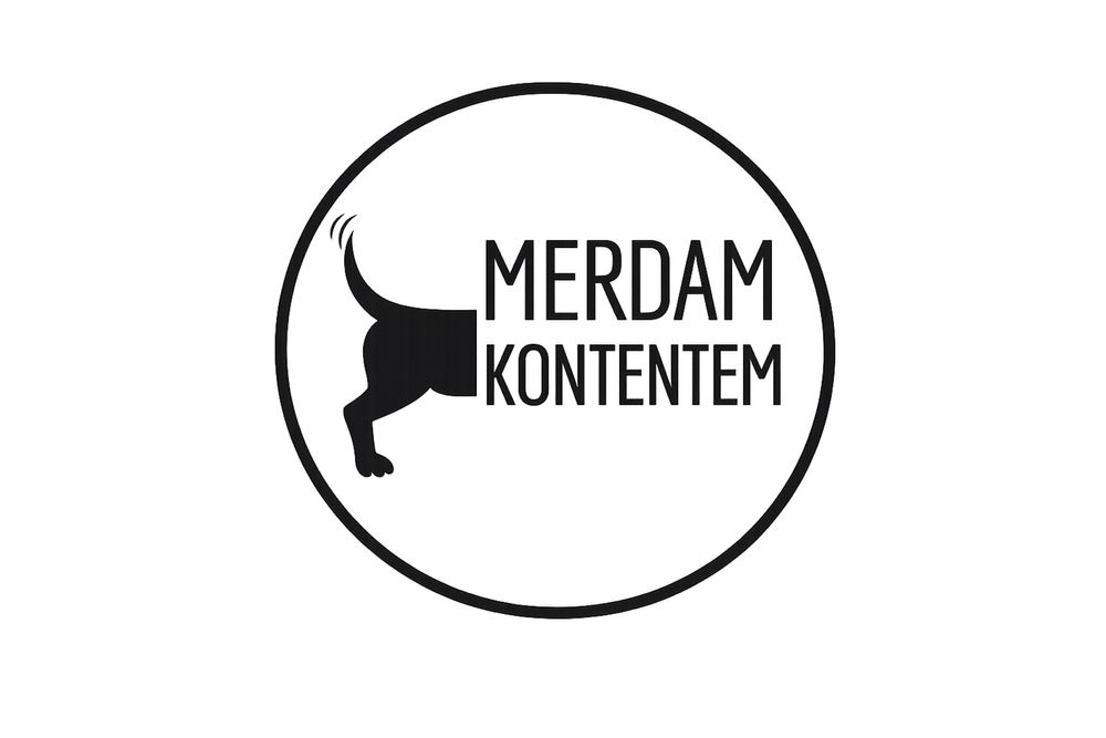 Prowadzenie Facebooka, Instagrama, TikToka dla firm | Social Media