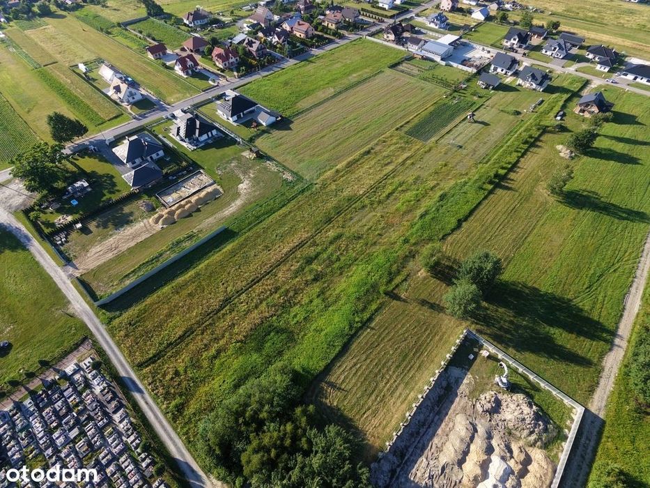 Działka 31 arów + Warunki Zabudowy - Trzeboś - Widok 3