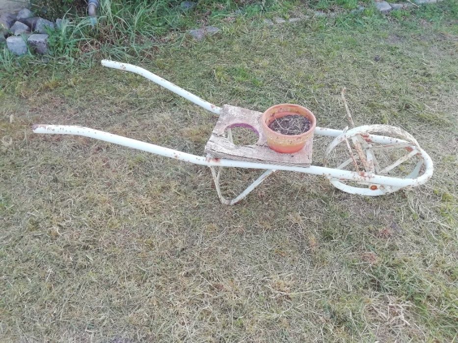 Carrinho mão antigo para decoração de jardim, ou interiores