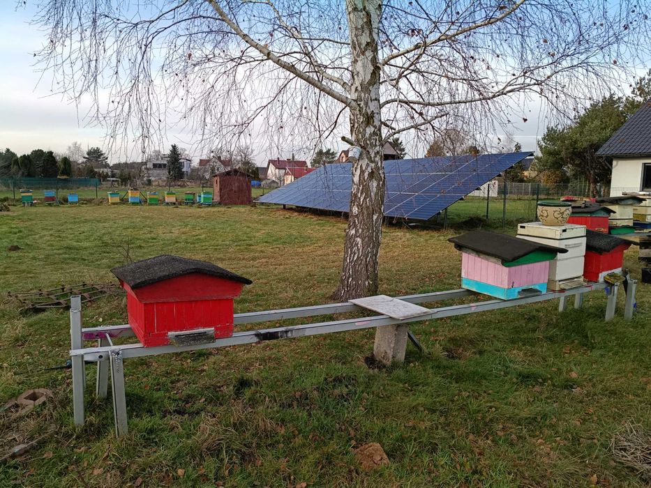 Pszczoły, pasieka ule