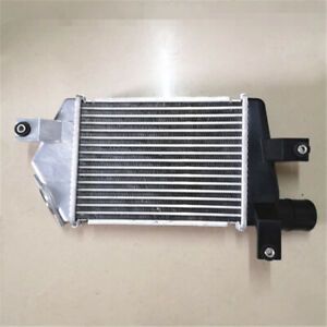 Radiador Intercooler Mitsubishi L200 Anos de 2005-- NOVO MN135001