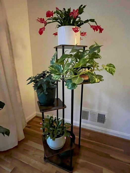 Kwietnik stojak na kwiaty drewniany narożny z 5 poziomami 105 cm