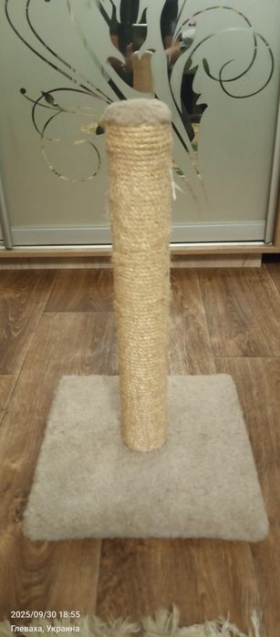 Когтеточка для кота