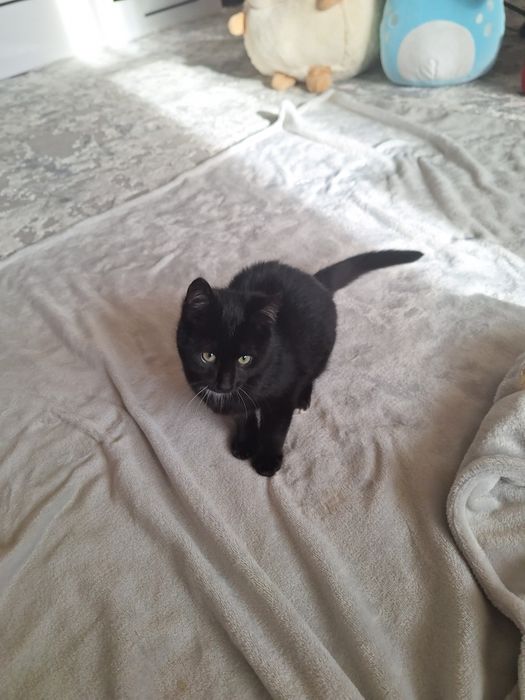 Хлопчик в хороші руки