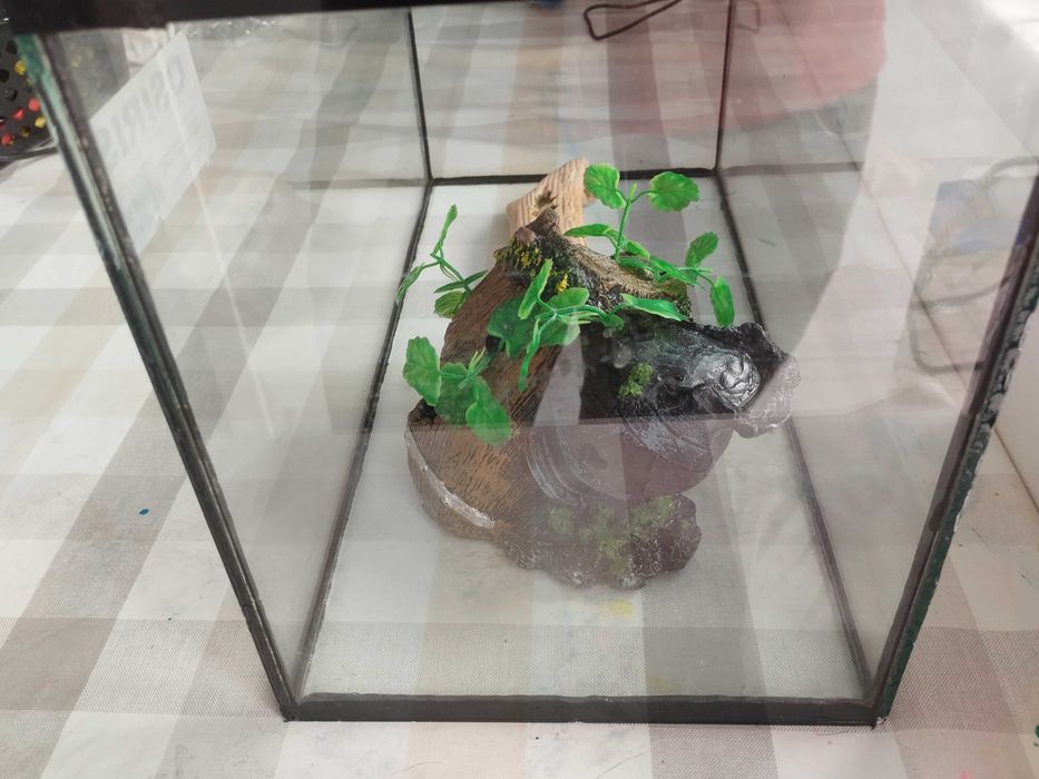 Aquário osiris para desocupar
