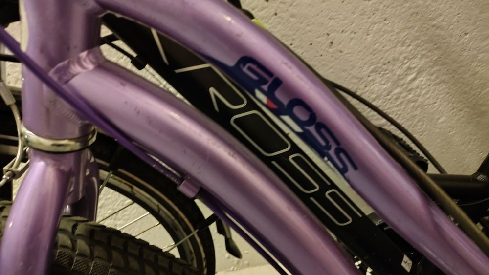 Rower Giant Liv Gloss
