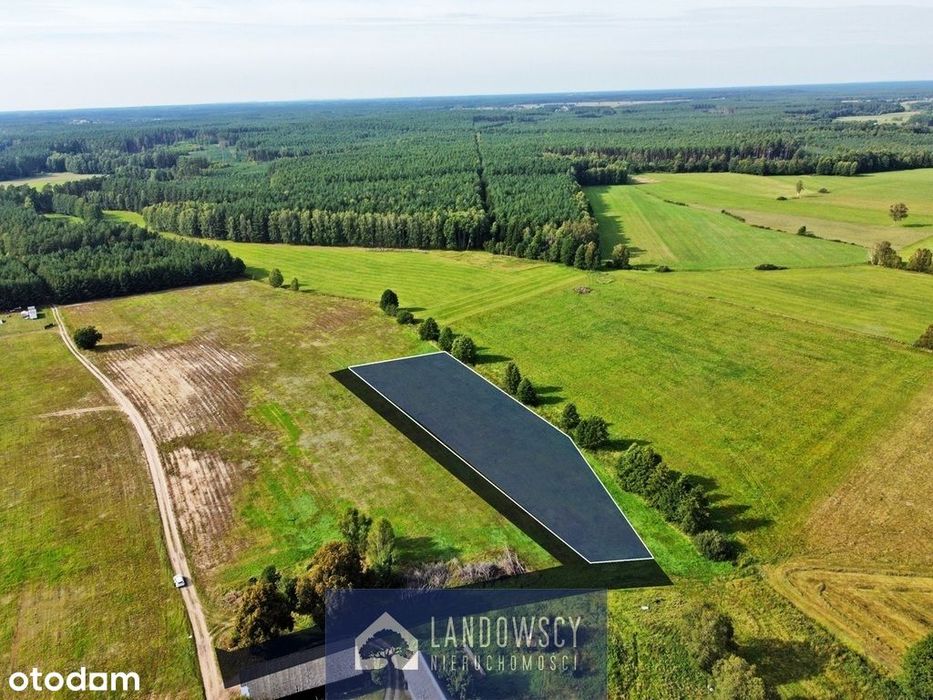 Las, rzeka i brak sąsiadów - działka w Osiecznej