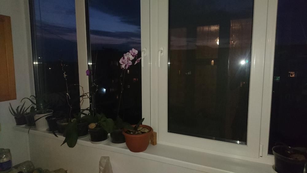 Продам квартиру. 10 хвилин до моря на авто.