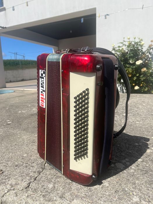 Acordeão Sparkrite