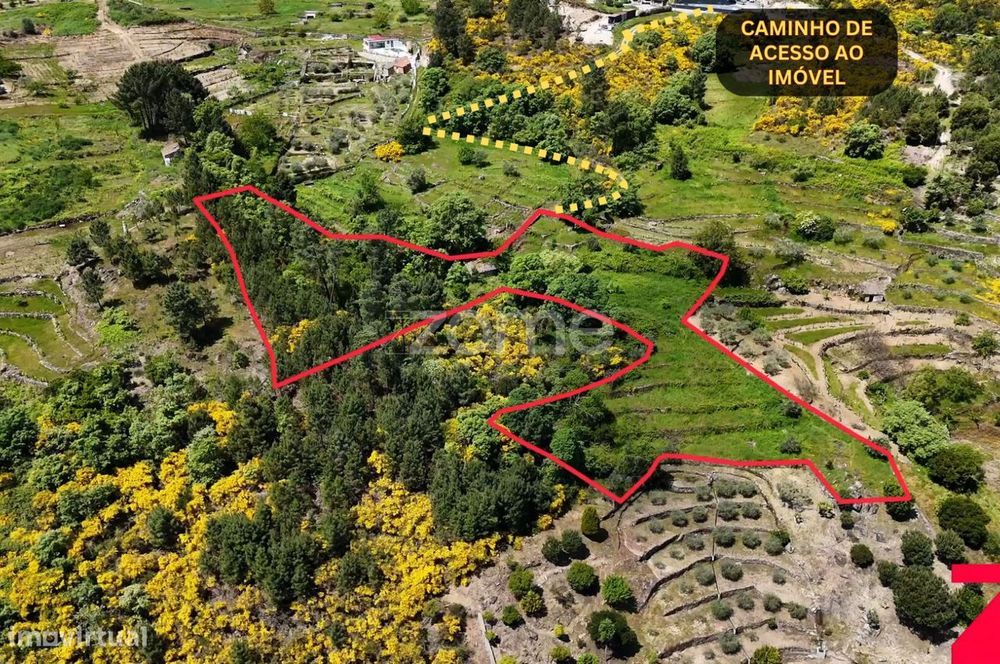 Terreno de 4437m2 com ruína, Santa Marta de Penaguião, Douro