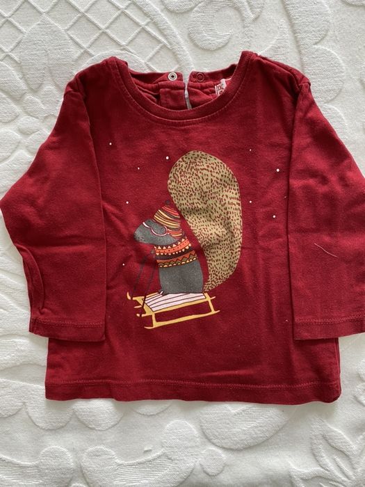 T-shirts 9 meses, ZARA , DPAM, manga comprida, menino