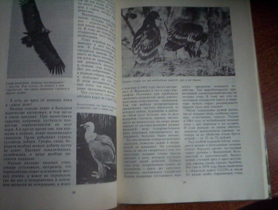 Розовые чайки и черные журавли. Книга о редких птицах Детлит 1985