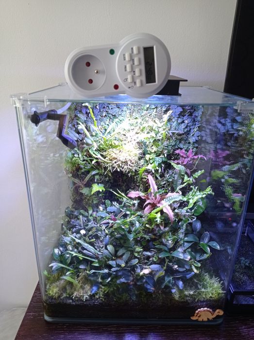 Timer, programator sekundowy, włacznik precyzyjny do terrarium, zrasza