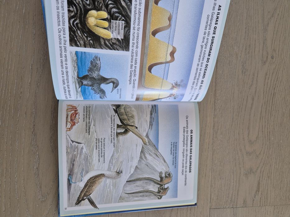 Livro para criança. Como novo.