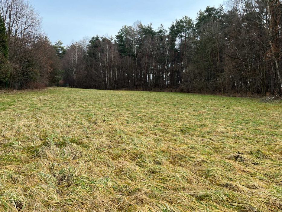 Działka 57 arów w spokojniej okolicy w Regulicach blisko Grojca