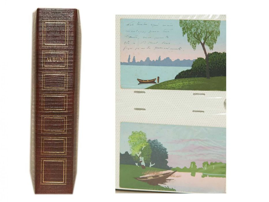 Livros "Aves de Portugal"