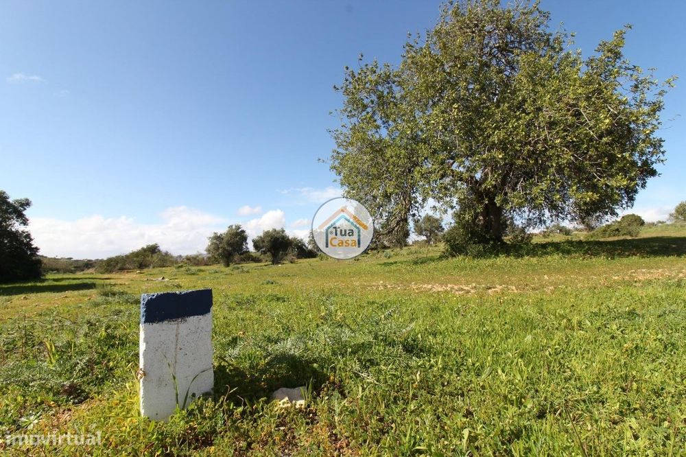 Terreno Rústico com Aproximadamente 3000 m2 Perto de Pechão — Quelfes, Faro