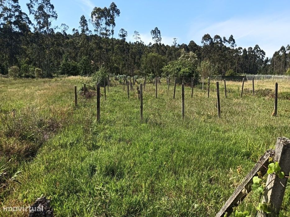 Terreno para construção de moradia - Oliveira do Bairro