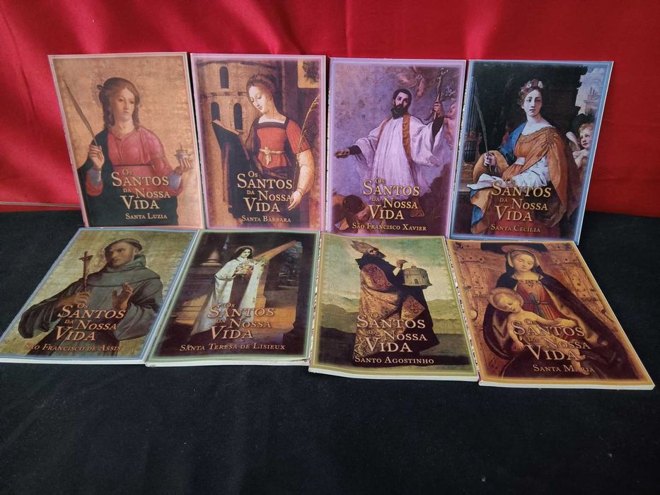 Os Santos da Nossa Vida 16 livros