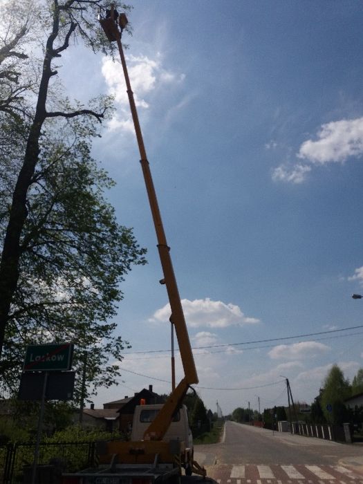 Podnośnik koszowy Warszawa, zwyżka, dźwig, wycinka drzew, wymiana lamp