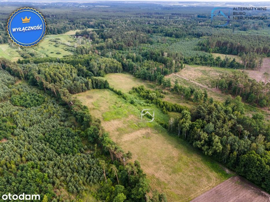 Działka 3004 m² blisko natury - gmina Łaziska