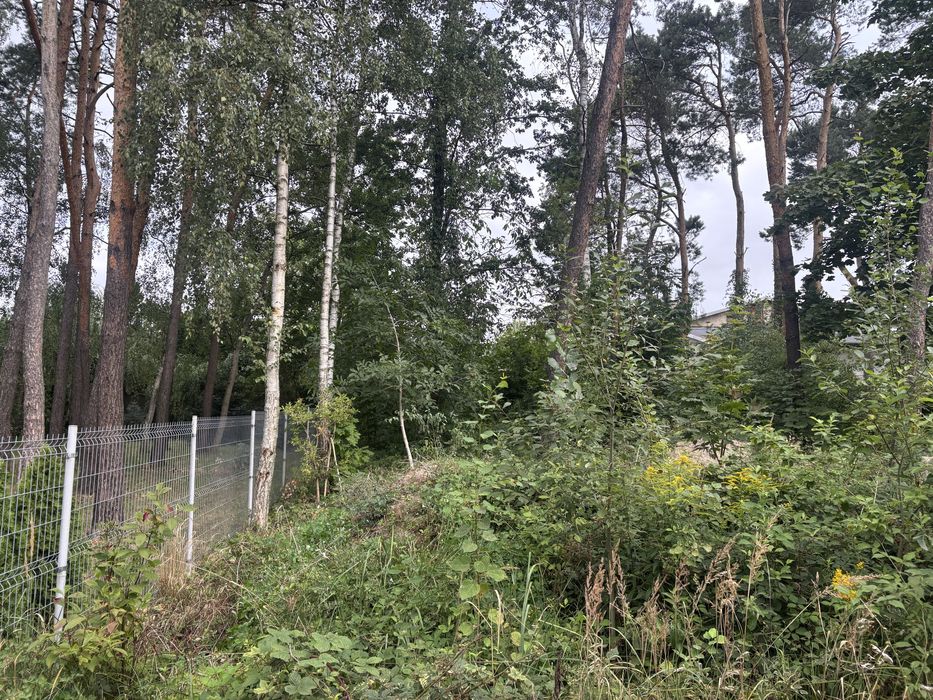 Glebogryzarka separacyjna