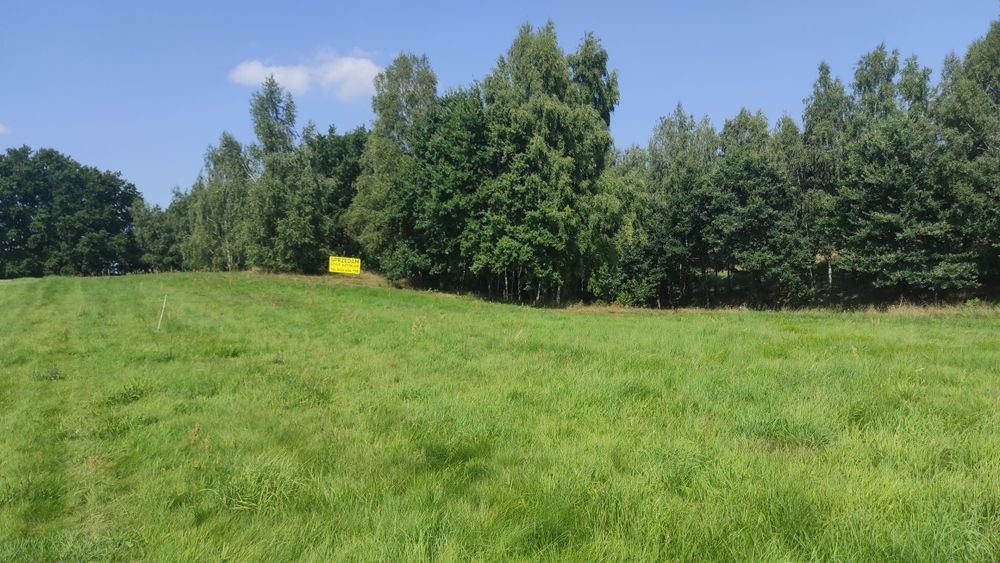 Zdjęcie 4