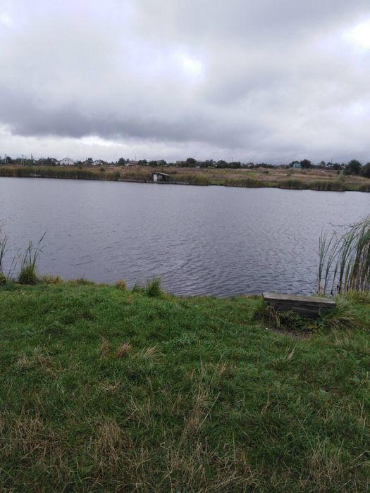 Продам будинок з великою ділянкою в с. Пилиповичі