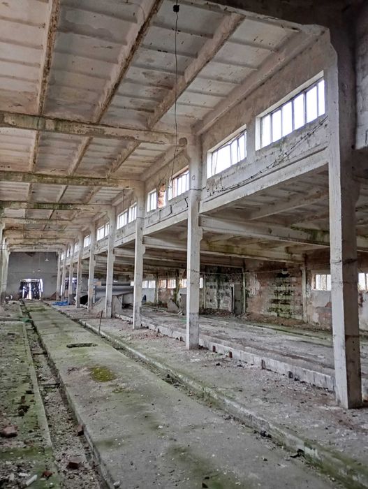 Magazyn, Hala 1500 metrów kwadratowych, wysoka.