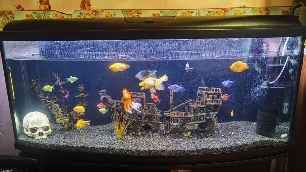 Продам Аквариум с тумбой 240л