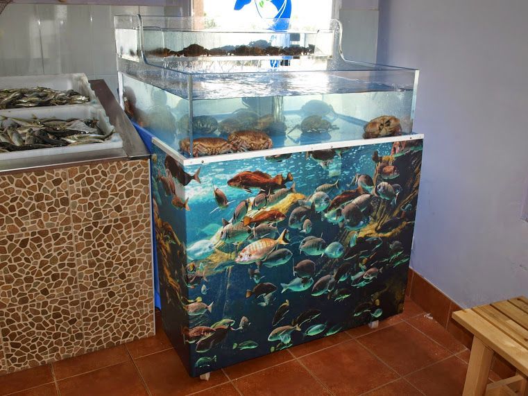 Aquário para marisco