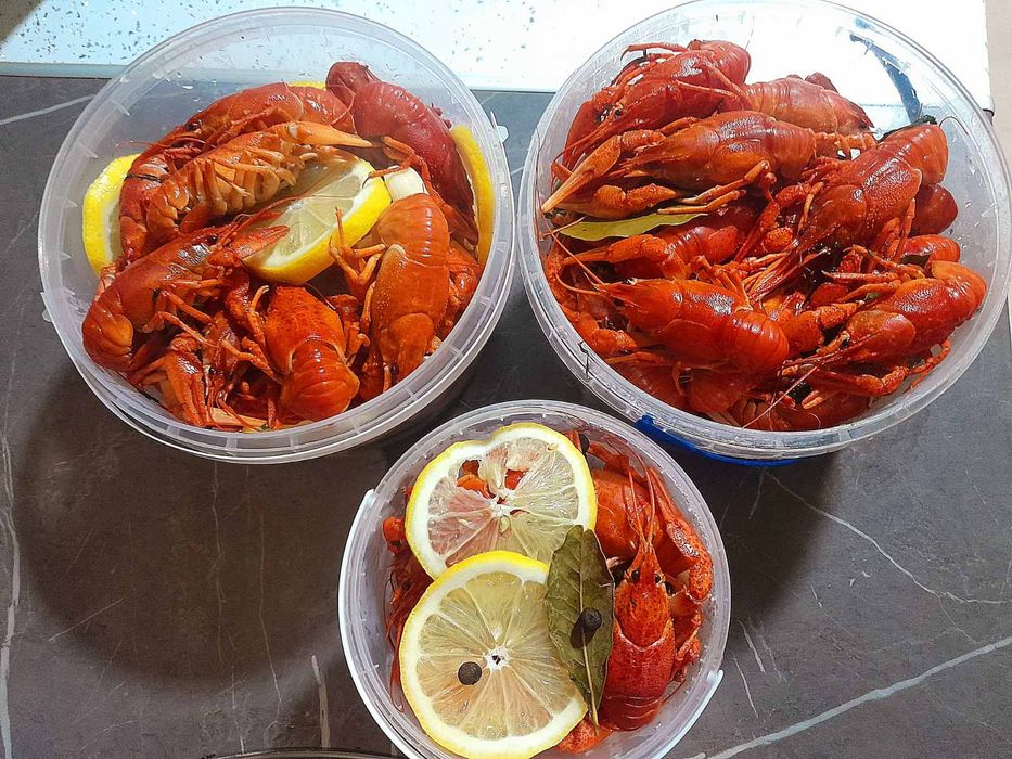 Тарань малосольная 100% .