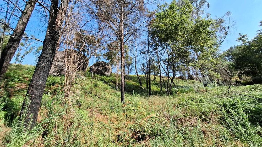 Terreno na Póvoa de Lanhoso