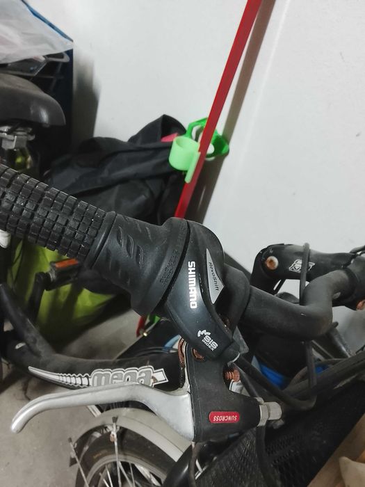 Bicicleta tipo pasteleira