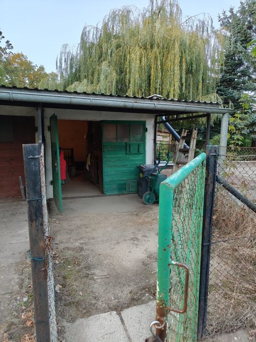 Zdjęcie 5