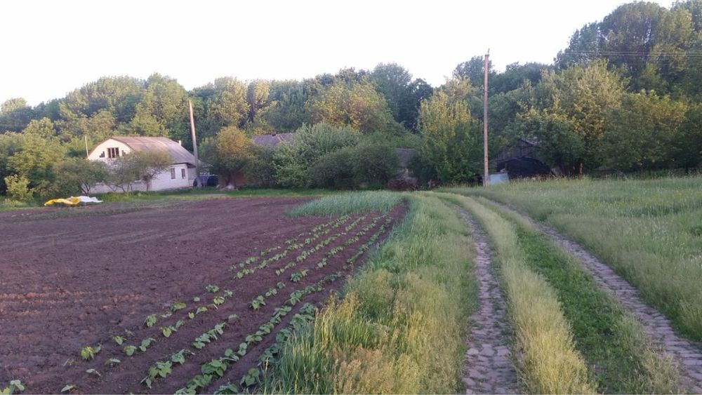 Продаж будинку в Полтавській області