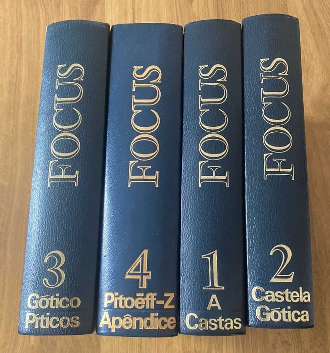 Dicionário Enciclopédico Focus 1977