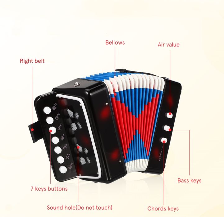 Akordeon Dla Dzieci Instrument Muzyczny Dla Początkujących  muzyka