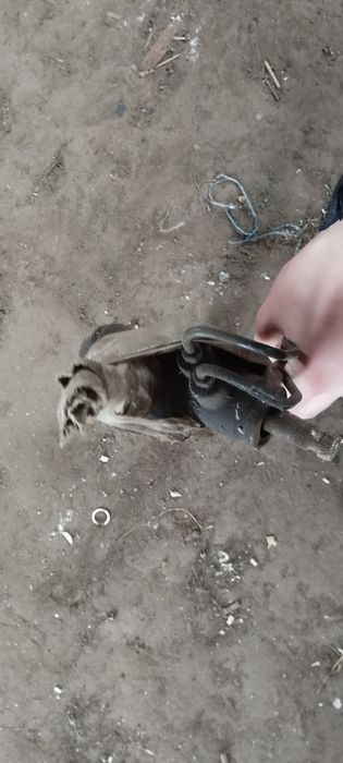 Рульові тягі Чері Кімо