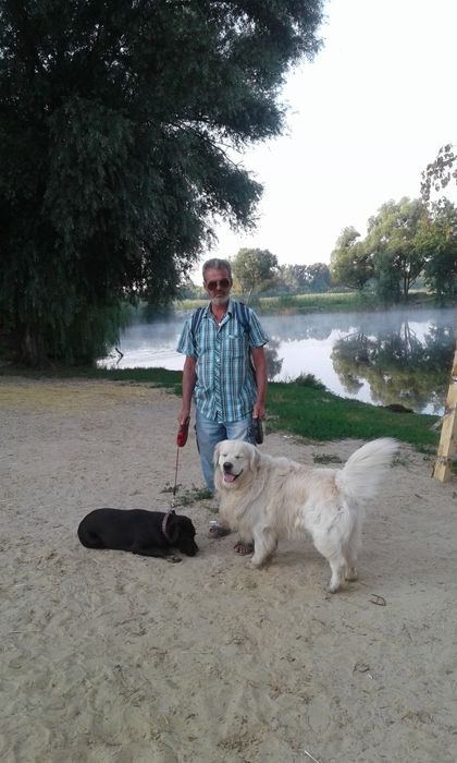 Передержка собак.