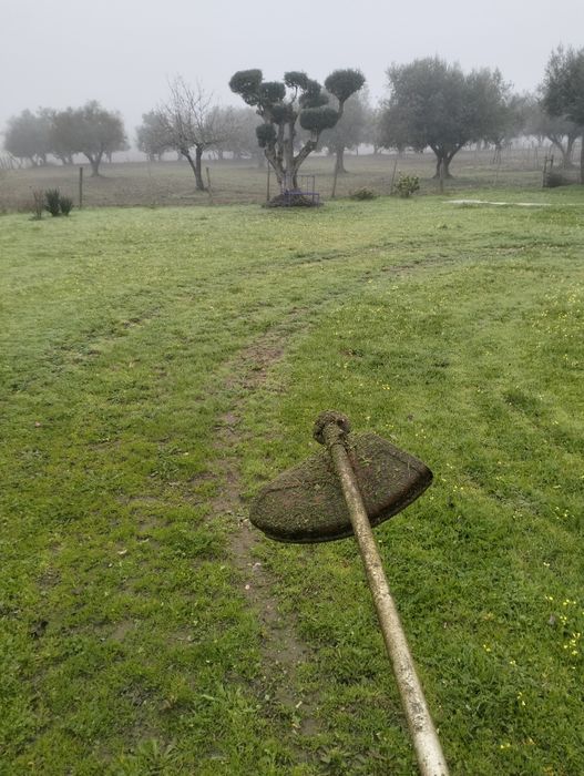 Prestação de serviços de jardinagem e de limpeza