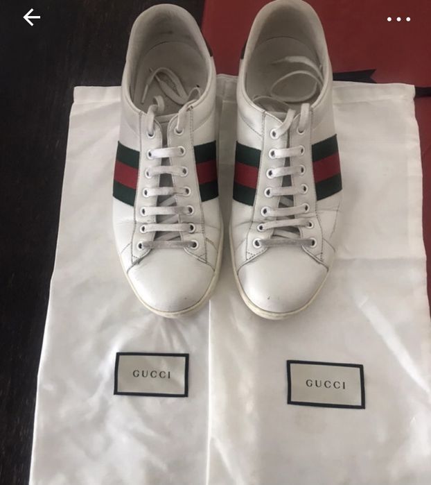 Tenis da Gucci / Ace sneaker