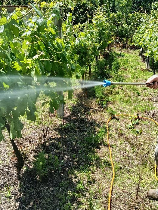 Máquina de Sulfatar