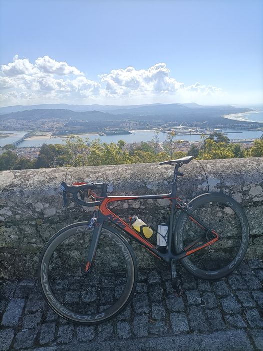 Rodas Campagnolo Bora One 50