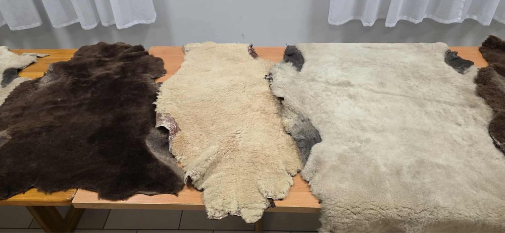 Skóry owcze naturalne